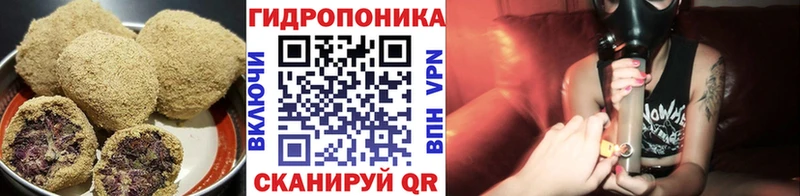 нарко площадка наркотические препараты  Канаш  Еда ТГК марихуана  продажа наркотиков 
