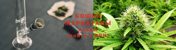 ПСИЛОЦИБИНОВЫЕ ГРИБЫ Алзамай
