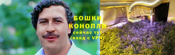 ПСИЛОЦИБИНОВЫЕ ГРИБЫ Алзамай