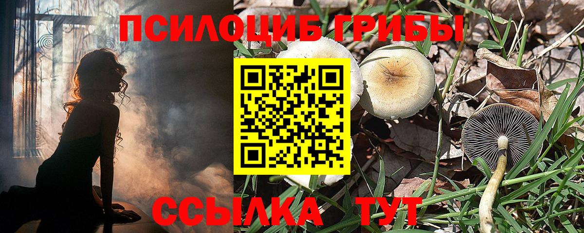 Галлюциногенные грибы Cubensis  Псилоцибиновые грибы прущие грибы  Вход с VPN  Канаш 