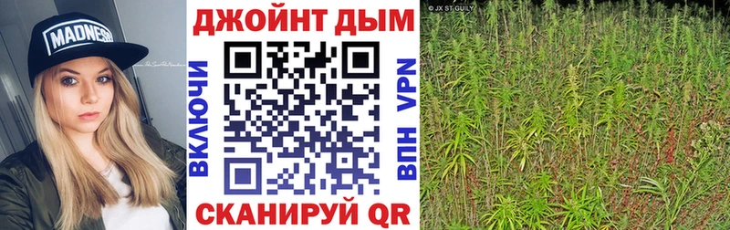 продажа наркотиков  Канаш  hydra ONION  Марихуана VHQ 